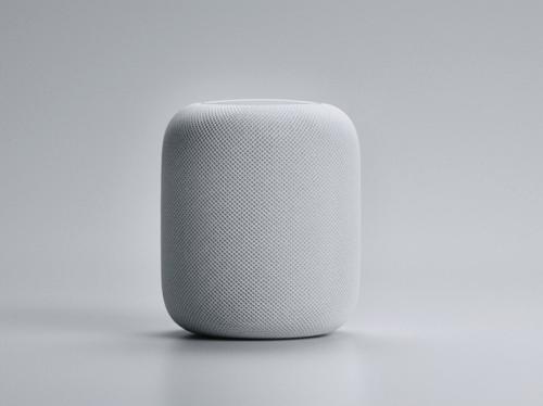 誰能笑到最后：智能音箱務(wù)實(shí)派與技術(shù)流的博弈